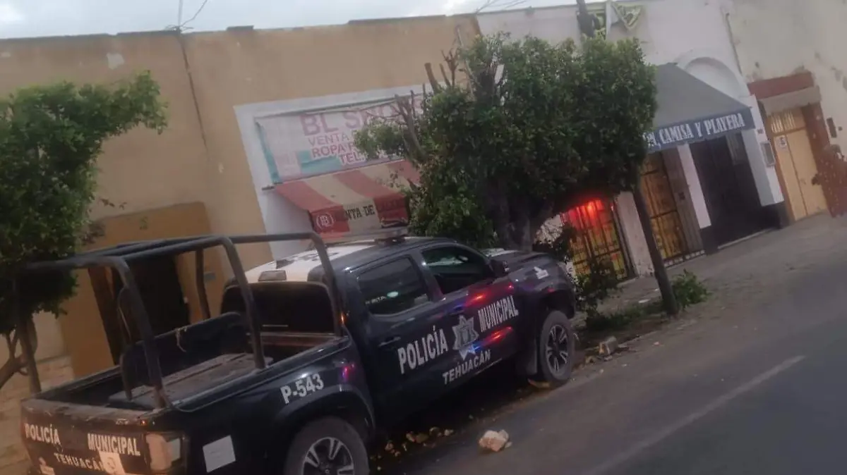 Policía municipal se impacta con un árbol en principales calles de Tehuacán